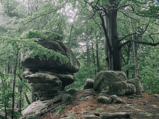 Interessante Sandsteinformation (Katzstein) im Nationalpark Sächsische Schweiz.