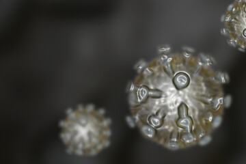 Viruses inside the body. 3d illustration of cells.