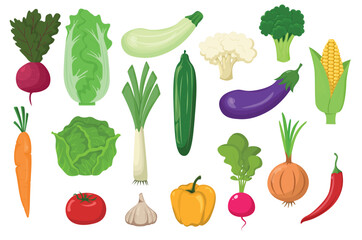 Large set of vegetables isolated on a white background. flat style