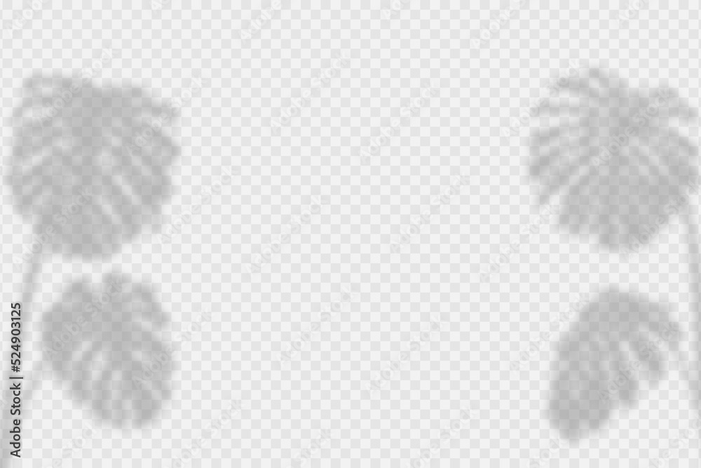Leinwandbilder Shadow overlay of monstera leaves. Transparent overlay shadow effect from tropical palm leaf of monstera. Realistic soft light effect of shadows and natural light on transparent background. Vector.