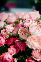 Pink roses in a flower shop.Flowers in a flower shop. Concept flower store and delivery.