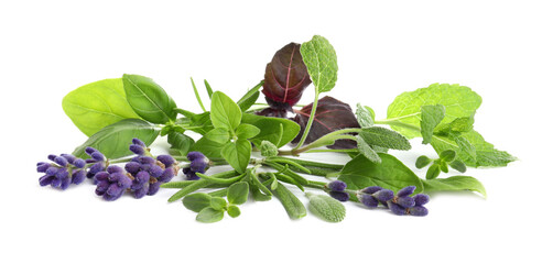 Various fresh aromatic herbs on white background © New Africa