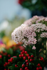 Obraz premium Flower shop.Flowers composition. Abstract background of flowers.