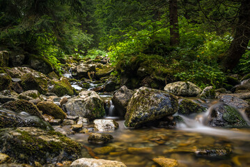 Naklejka na ściany i meble Three waters educational trail in the Low Tatras, Demänovská Dolina, Slovakia