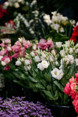 Flower shop.Flowers composition. Abstract background of flowers.