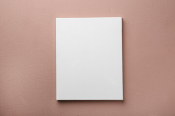 Blank canvas on pale pink wall. Space for design