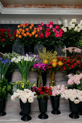 Flower shop.Flowers composition. Abstract background of flowers.