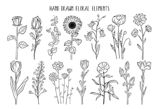 Hand drawn set of blooming flowers. Floral summer collection. Vector sketch elements isolated on white background. Decorative doodle illustration for greeting card, wedding invitation