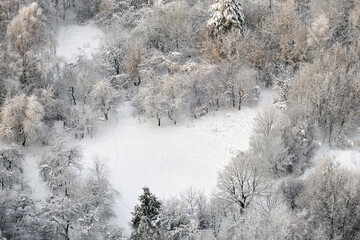 Winter forest with white trees in the snow, copy space for text. Top view of the snowy park, background