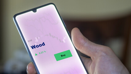 An investor's analyzing the wood etf fund on screen. A phone shows the ETF's prices commodities building materials to invest