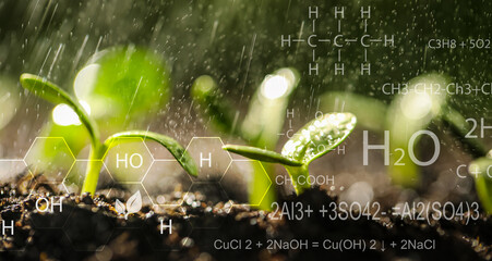 Sprinkling water on green seedlings growing in soil, closeup. Illustration of chemical formulas