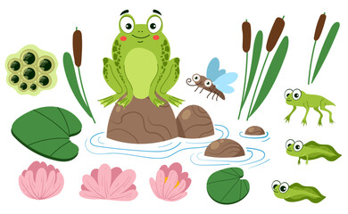 Frog pond toad animal life nature isolated set collection. Vector isolated graphic design illustration