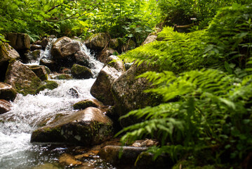 Small stream in the middle of amazing nature. Relax and free time. 