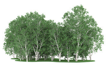 Forest on transparent background. 3d rendering - illustration