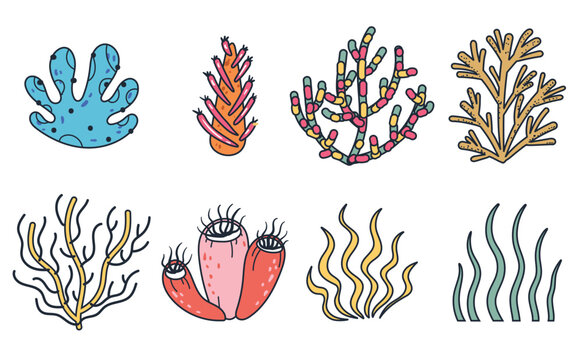 Coral sea plant seaweed ocean tropical nature doodle line art style isolated set collection. Vector isolated graphic design illustration