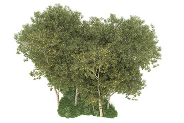 Fototapeta premium Forest on transparent background. 3d rendering - illustration