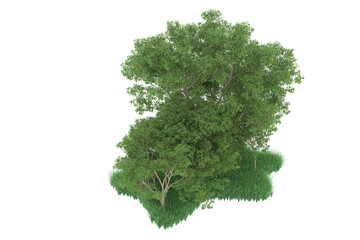 Fototapeta premium Forest on transparent background. 3d rendering - illustration