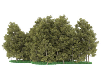 Forest on transparent background. 3d rendering - illustration