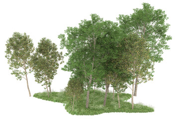 Fototapeta na wymiar Forest on transparent background. 3d rendering - illustration