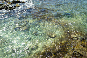 Green sea water covers the coastal rocks. Ancient rocks are covered with water.