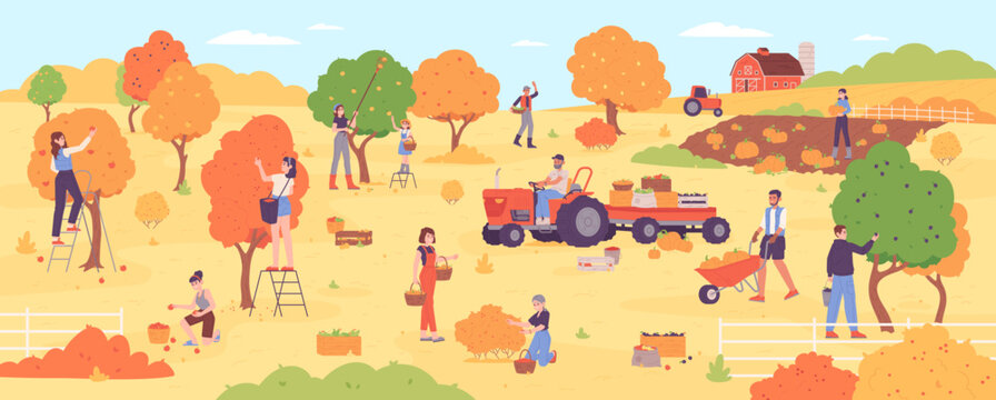 People on autumn harvesting. Farm workers picking agriculture fall harvest from garden planting tree, group people on ladder pick season fruit orchard, garish vector illustration