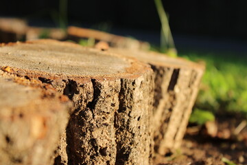 close up of a log