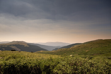 Thin Clouds Over Muted Colors of Guanella Pass