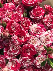 
a large bouquet of pink and white roses 