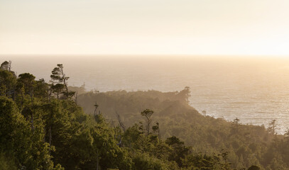 Canadian Nature Landscape on the Pacific Ocean of West Coast. Sunny Summer. Cox Bay, Tofino, Vancouver Island, BC, Canada. Nature Background.