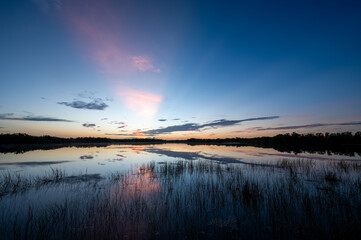 Colorful summer sunrise cloudscape over Nine Mile Pond reflected in perfectly calm water in Everglades National Park, Florida.
