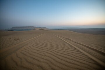 sand dunes on the beach 