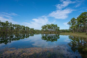 Early morning summer cloudscape over Long Pine Key in Everglades National Park, Florida reflected in calm lake water.