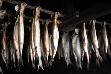 Old traditional Dutch smokehouse in fisherman's village in Horth Holland - rows of smoked herrings fish hanging on skewers under tiled roof