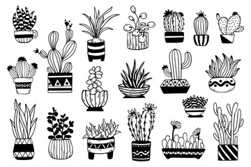 Collection of doodle sketches of indoor plants, catus, succulents in flower pots. vector graphics.
