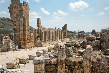 Obraz premium The Palestra, building dedicated to Emperor Claudius (AD 41-45). Ancient Greek colony from 7th century BC, conquered by Persians and Alexander the Great in 334 BC. Turkey