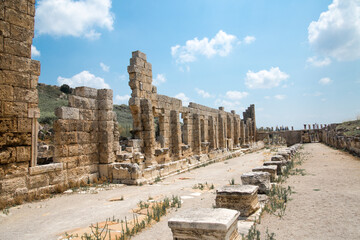The Palestra, building dedicated to Emperor Claudius (AD 41-45). Ancient Greek colony from 7th century BC, conquered by Persians and Alexander the Great in 334 BC. Turkey