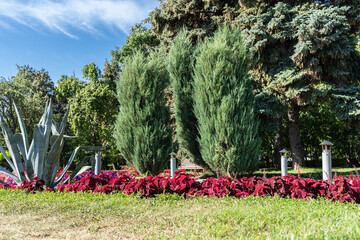 Underground house of gnomes, chimney pipe from above on a flower bed in a city park.