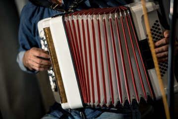 accordion player close-up playing the white button accordion