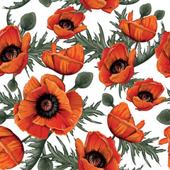 pattern of red poppies with a black center hand-drawn