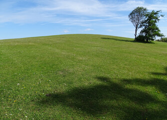 Green hill in foreground with sky in background. Light white clouds on a sunny day, vivid green grass with tree and shadows prominent taken in Colwyn Bay from Eirias Park
