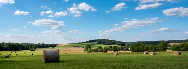 Tuinposter countryside landscape of belgian ardennes region near han sur lesse and rochefort with hay bales under blue sky © ahavelaar