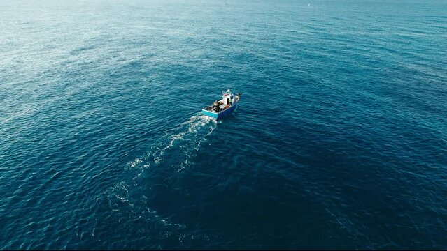 Follow shot of small lonely white fish trawler with crew on board passing in calm blue sea, heading to morning market to distribute caught fish