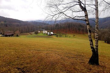 mountain meadow in autumn