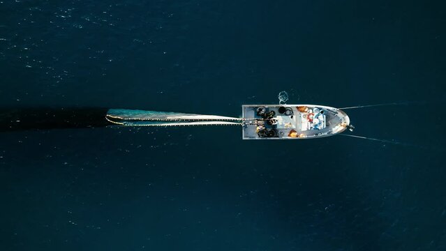 Close up aerial shot on white small fisherman trawler with crew on board. People work hard together to pull out net wit caught sardines from deep blue waters of open sea. 