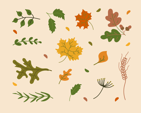 A set of colorful autumn leaves. Isolated vector elements. Simple cartoon flat style.