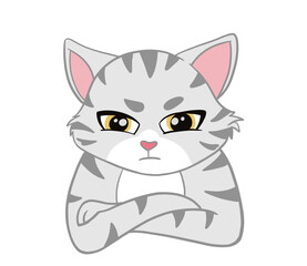 Fototapeta na wymiar The American Shorthair cat looking seriously emotion face and. Doodle art image.