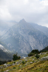 Naklejka premium landscape in the mountains