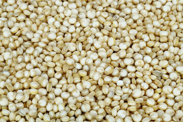 close up of a pile of quinoa seeds