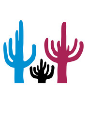 Bunte 3 Kakteen Wüste 