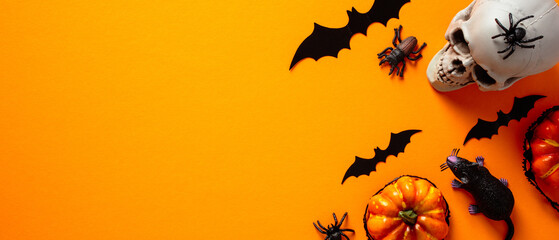 Halloween banner design template. Flat lay skull, pumpkins, bats on orange background. Top view,...